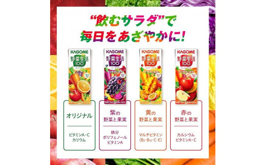 【 定期便 4ヶ月 】 カゴメ 野菜生活100 マンゴーサラダ 200ml×48本 ジュース 野菜 果実ミックスジュース 果汁飲料 紙パック 砂糖不使用 1食分の野菜 マルチビタミン ビタミンB2 ビタミンB12 ビタミンC ビタミンE 飲料類 ドリンク 野菜ドリンク 備蓄 長期保存 防災 飲みもの