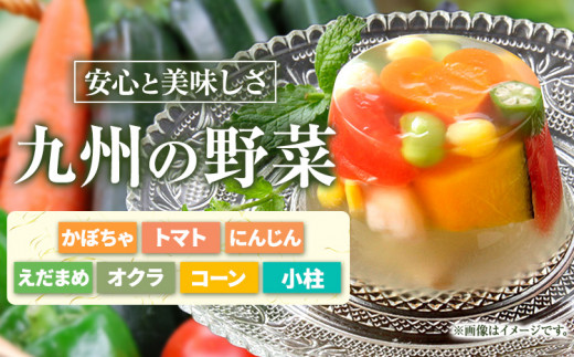 夏野菜 ゼリー寄せ 10個セット 独楽《60日以内に発送予定(土日祝除く)》福岡県 鞍手郡 鞍手町 ひんやり 冷たい プレゼント ギフト ゼリーギフト 九州の野菜 博多あご出汁 かぼちゃ トマト にんじん えだまめ オクラ コーン 小柱 送料無料
