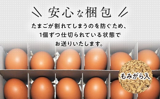 【定期便6ヶ月】《毎月5日にお届け》御殿たまご 赤たまご 24個入 （破損保障含む）もみがら入 ｜ 卵 タマゴ 玉子 たまごかけご飯 生卵 鶏卵 卵焼き 国産 御殿場産 ※北海道・沖縄・離島への配送不可