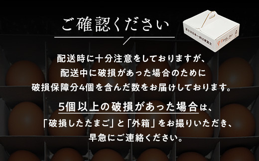 【定期便6ヶ月】《毎月5日にお届け》御殿たまご 赤たまご 24個入 （破損保障含む）もみがら入 ｜ 卵 タマゴ 玉子 たまごかけご飯 生卵 鶏卵 卵焼き 国産 御殿場産 ※北海道・沖縄・離島への配送不可