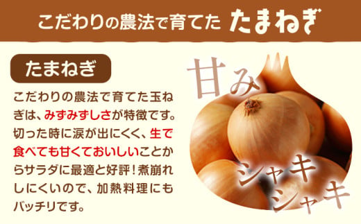 電子技法栽培たまねぎ2種セット 紫玉ねぎ 黄玉ねぎ 合計約10kg 野菜《10月上旬から順次出荷》橋枝物産 北海道 浦幌町