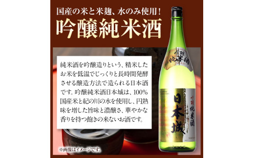 日本城 吟醸純米酒と特別本醸造 1.8L×2本 2種セット 厳選館《90日以内に出荷予定(土日祝除く)》 和歌山県 日高川町 酒 吟醸純米酒 特別本醸造 飲み比べ 3.6L