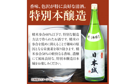 日本城 吟醸純米酒と特別本醸造 1.8L×2本 2種セット 厳選館《90日以内に出荷予定(土日祝除く)》 和歌山県 日高川町 酒 吟醸純米酒 特別本醸造 飲み比べ 3.6L