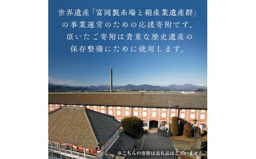 ＼世界遺産!!／ 富岡製糸場 応援寄附金 10,000円分（返礼品なし） F20E-946