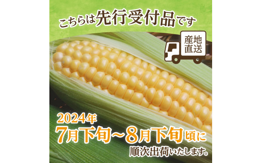 【2024年先行予約】北海道十勝芽室町 スーパースイート種 とうもろこし 10本 me050-001-24c