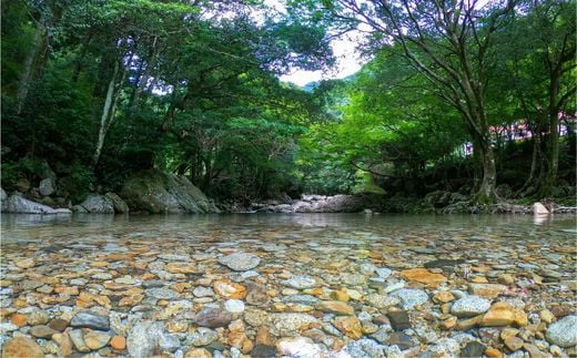 四万十川源流、森の国「水際のロッジ」1泊2日　朝夕食付きペア宿泊チケット ◇