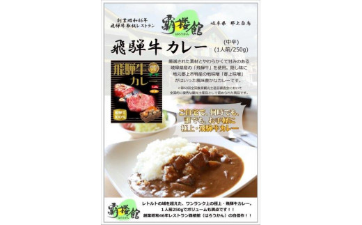 覇楼館・飛騨牛カレー1人前(250g)×14個セット