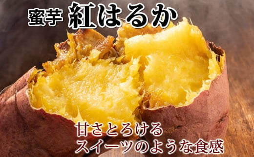 紅はるか 秀品 約10kg