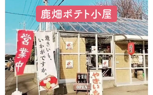 ポテト小屋の生さつまいも 【紅はるか】 5kg 【鹿嶋市 減農薬 サツマイモ 生芋 べにはるか 送料無料 5キロ 10000円以下】 (KBR-3)