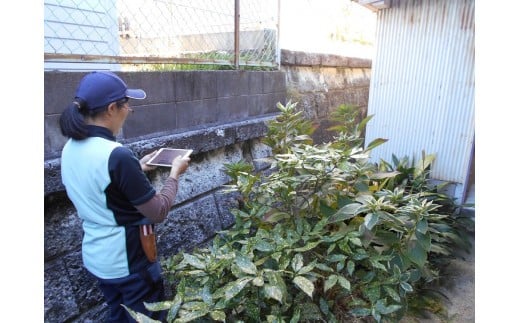 はりま空家管理サービス 　お手軽コース〈60分〉「建物外部+お庭」1回/月　3ヶ月コース　オーナー様負担軽減　放置対策　防犯対策　問題解決　維持管理　トラブル回避