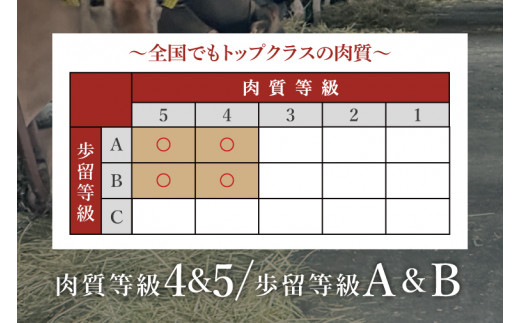 【数量限定】常陸牛切り落とし 約1㎏（500g×2p）【水戸市 牛肉 常陸牛 お肉 小分け 自家用におすすめ おいしい ブランド牛 ステーキ 数量 限定 スライス加工】（BG-20）