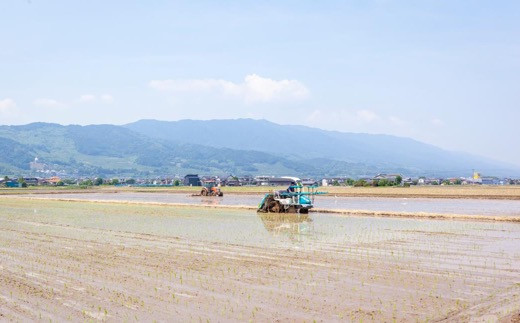 みずほファーム UKIHA RICE 七分搗き米10kg 2024年10月20日より順次出荷予定