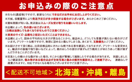 桃 2025年先行予約【産直・人気の特産品】和歌山の桃 3玉 厳選館《2025年6月中旬-8月中旬より出荷》和歌山県 日高川町 果物 フルーツ 桃 もも 送料無料【配送不可地域あり】