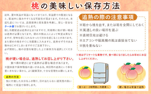 桃 2025年先行予約【産直・人気の特産品】和歌山の桃 3玉 厳選館《2025年6月中旬-8月中旬より出荷》和歌山県 日高川町 果物 フルーツ 桃 もも 送料無料【配送不可地域あり】