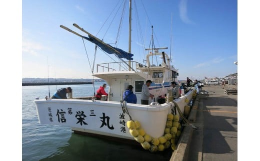 【釣り船乗船券】信栄丸（1名様分） 乗船体験 体験 チケット