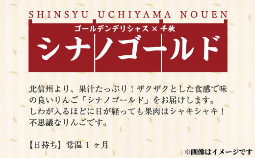 [No.5657-2944]シャキシャキして味が濃い『シナノゴールド』 約3kg (約7～9玉) 《信州うちやま農園》■2025年発送■※10月中旬頃～11月中旬頃まで順次発送予定