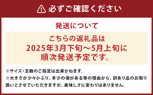 訳あり ご家庭用 長崎県時津町産 不知火 約5kg