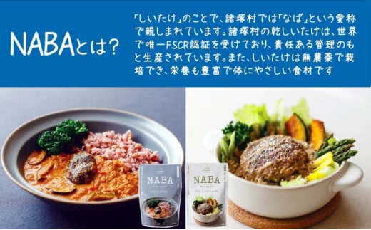 [№5738-0079]レトルト カレー ハンバーグ NABA 計4食セット バターチキンカレー 2食＆ハンバーグアンチョビソース掛け 2食 セット