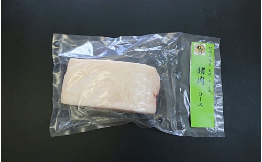 【肉塊】「紀州イノシシ　ロース肉」ブロック500g  / 田辺市 猪肉 イノシシ肉 イノシシ ボタン ロース 塊 肉 ブロック 紀州ジビエ ジビエ【kgs005-1】