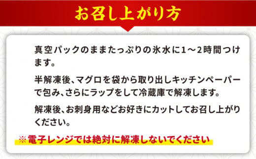 金太郎マグロ 冷凍 ブロック 1kg程度 / まぐろ 鮪 刺身 海鮮 魚