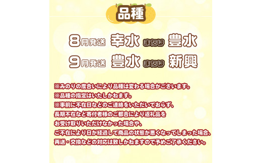 【先行予約】 梨 5kg 選べる セット 8玉 ～ 16玉 訳あり 幸水 豊水 新興 フルーツ 果物 なし 和梨 期間限定 中原農園 下関 山口 【 数量限定 】 【8月より発送】