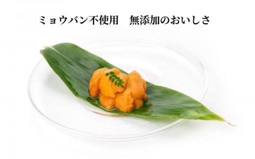 【春うに】 蝦夷バフンウニ 塩水パック 100g×3P【2025年4月頃より発送】