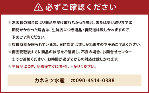 恋路カキ 殻付きマガキ 約2kg