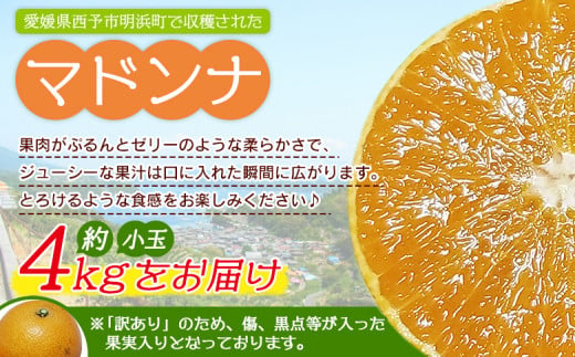 紅まどんなと同品種！＜訳あり マドンナ 約4kg（小玉） 浜のみかん屋直送＞ 明浜産 果物 フルーツ みかん オレンジ 柑橘類 愛媛果試第28号 ご家庭用 自宅用 食べて応援 特産品 産地直送 愛媛県 西予市【常温】