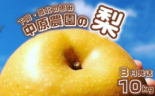 【先行予約】 梨 10kg 選べる セット 20玉 ～ 32玉 訳あり 幸水 豊水 新興 フルーツ 果物 なし 和梨 期間限定 中原農園 下関 山口 【 数量限定 】 【8月より発送】