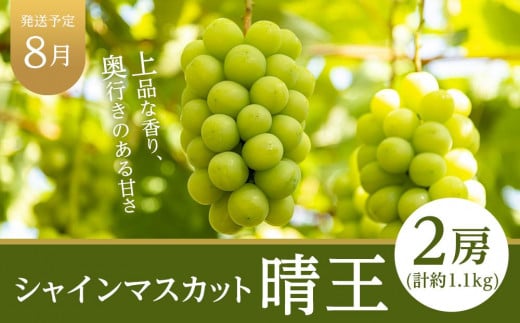 フルーツ 定期便 2025年 先行予約 晴れの国 岡山県産 旬のフルーツ定期便 6回コース 桃 もも 葡萄 ぶどう 梨 なし 岡山県産 国産 セット ギフト