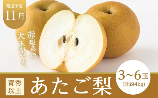 フルーツ 定期便 2025年 先行予約 晴れの国 岡山県産 旬のフルーツ定期便 6回コース 桃 もも 葡萄 ぶどう 梨 なし 岡山県産 国産 セット ギフト