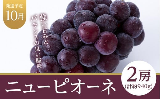 フルーツ 定期便 2025年 先行予約 晴れの国 岡山県産 旬のフルーツ定期便 6回コース 桃 もも 葡萄 ぶどう 梨 なし 岡山県産 国産 セット ギフト