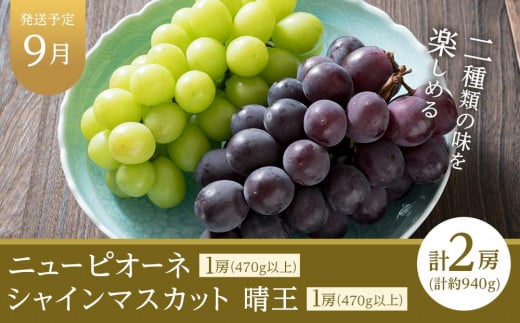 フルーツ 定期便 2025年 先行予約 晴れの国 岡山県産 旬のフルーツ定期便 6回コース 桃 もも 葡萄 ぶどう 梨 なし 岡山県産 国産 セット ギフト