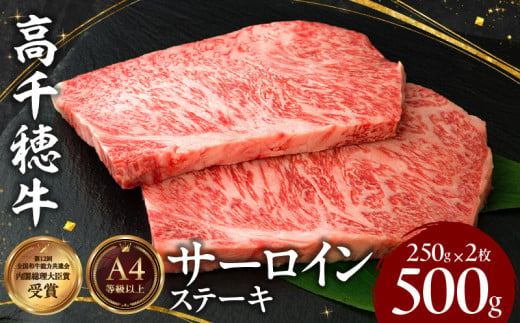 A-1 高千穂牛 サーロイン ステーキ 250g×2枚 500g