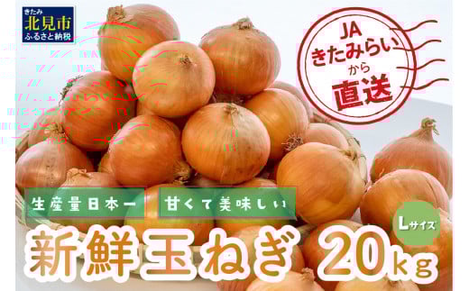 淡路島玉葱 5kg 【栽培期間中、無農薬栽培】サイズ混合SS～2L