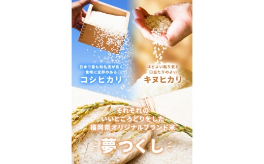 夢つくし パックご飯 48パック 24パック×2箱《30日以内に出荷予定(土日祝除く)》米 コメ 精米 ゆめつくし パックごはん 便利 アウトドア 非常食 電子レンジ調理 湯せん調理 鞍手郡