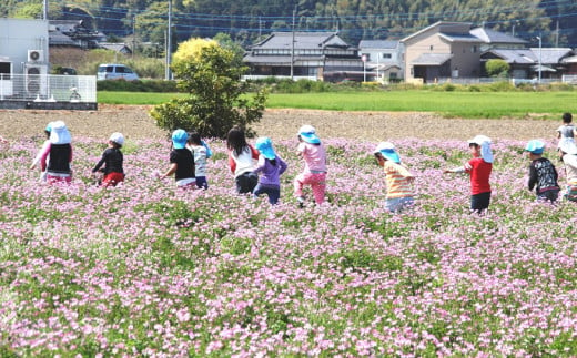 遠賀町への寄付（返礼品はありません）返礼品なし 1口 1,000円