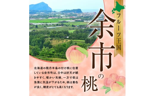 【先行受付：2025年8月下旬以降発送】フルーツ王国余市産「桃」 3kg【ニトリ観光果樹園】