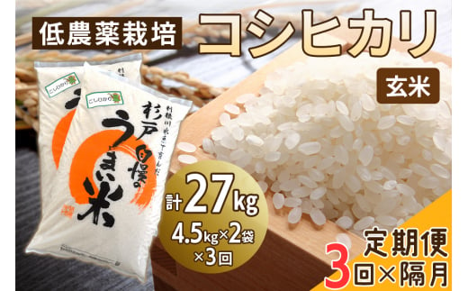 新米 [定期便／隔月3ヶ月] 低農薬栽培のコシヒカリ《玄米》計27kg (4.5kg×2袋×3ヶ月)｜おいしい お米 コメ こめ ご飯 ごはん 白米 玄米 お取り寄せ 直送 贈り物 贈答品 ふるさと納税 埼玉 杉戸 [0548]