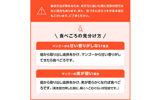 【令和7年発送】宮崎マンゴー 太陽の子６玉（2.7kg以上） 【 果物 フルーツ マンゴー 宮崎県産 みやざきマンゴー 】