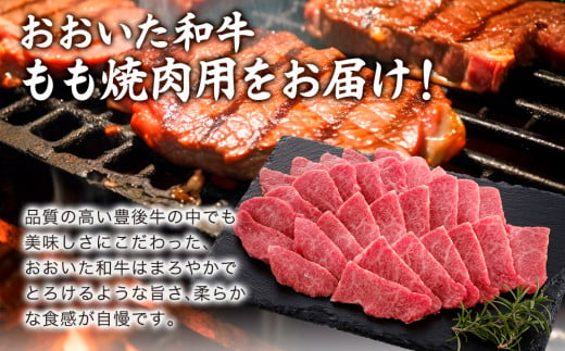 おおいた和牛 もも焼肉用 600g 牛肉 和牛 豊後牛 ブランド牛 赤身肉 焼き肉 焼肉 バーベキュー 大分県産 九州産 津久見市 国産 送料無料