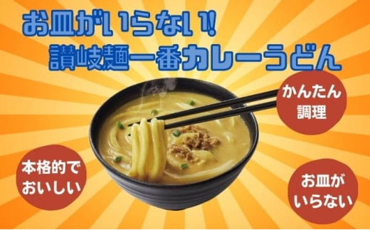 [№5911-0281]讃岐麺一番カレーうどん（305g）1食入×12袋×2箱