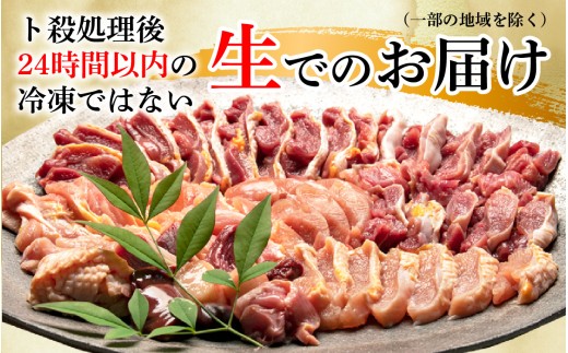 【かしわの川中】超新鮮＆美味！すき焼フルセット 近江しゃも 約800g（2～3人前）[G004] / 国産 滋賀県 鶏肉 肉 炭火焼 とり モモ 焼き鳥 すき焼き 鍋 軍鶏 しゃも とりすき焼き