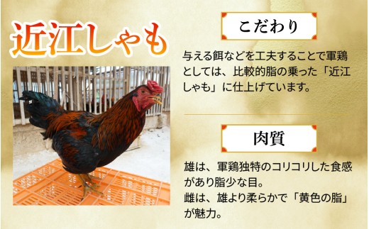 【かしわの川中】超新鮮＆美味！すき焼フルセット 近江しゃも 約800g（2～3人前）[G004] / 国産 滋賀県 鶏肉 肉 炭火焼 とり モモ 焼き鳥 すき焼き 鍋 軍鶏 しゃも とりすき焼き