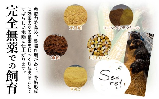 【かしわの川中】超新鮮＆美味！すき焼フルセット 近江しゃも 約800g（2～3人前）[G004] / 国産 滋賀県 鶏肉 肉 炭火焼 とり モモ 焼き鳥 すき焼き 鍋 軍鶏 しゃも とりすき焼き