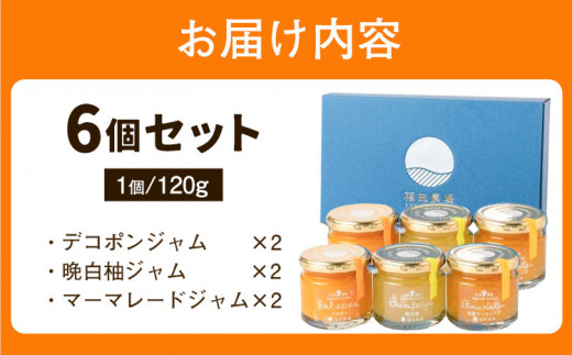 九州果実ジャム 熊本県セット 6個セット デコポンジャム 甘夏マーマレード 晩白柚ジャム 1個あたり120g《30日以内に出荷予定(土日祝日除く)》熊本県 水俣市 津奈木町 福田農場 ジャム マーマレード 柑橘 セット