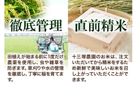 【無洗米】宮城県利府町産一等米ひとめぼれ5kg(5kg×1)