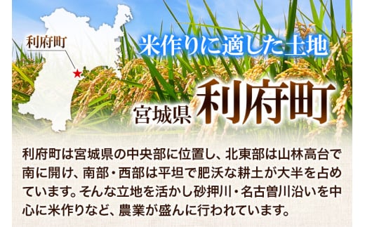 【無洗米】宮城県利府町産一等米ひとめぼれ5kg(5kg×1)