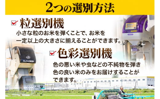 【無洗米】宮城県利府町産一等米ひとめぼれ5kg(5kg×1)