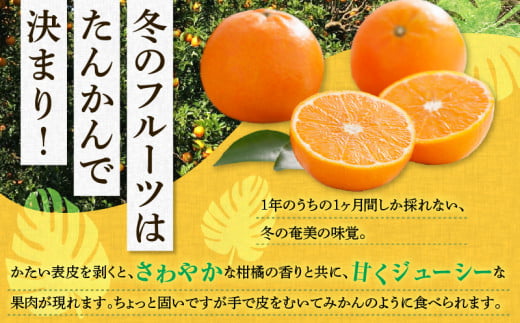 【2025年先行予約】奄美のたんかん贈答用5kg（皮むき器・情報誌付）　A052-022-02